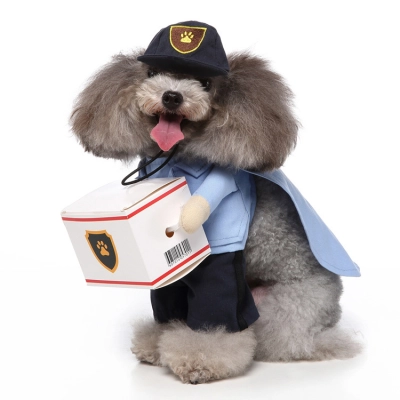 Adorable Panda Costume for Small Dogs Playful Outfit 01