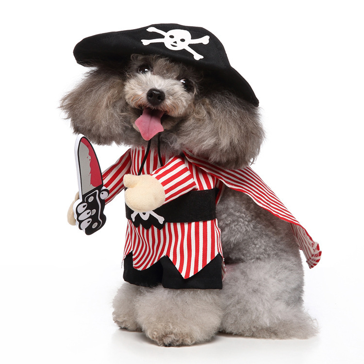Adorable Panda Costume for Small Dogs Playful Outfit