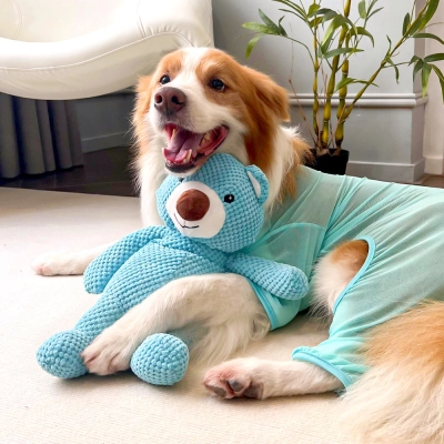 Blue Bear Squeaky Plush Toy for Dogs and Cats 02