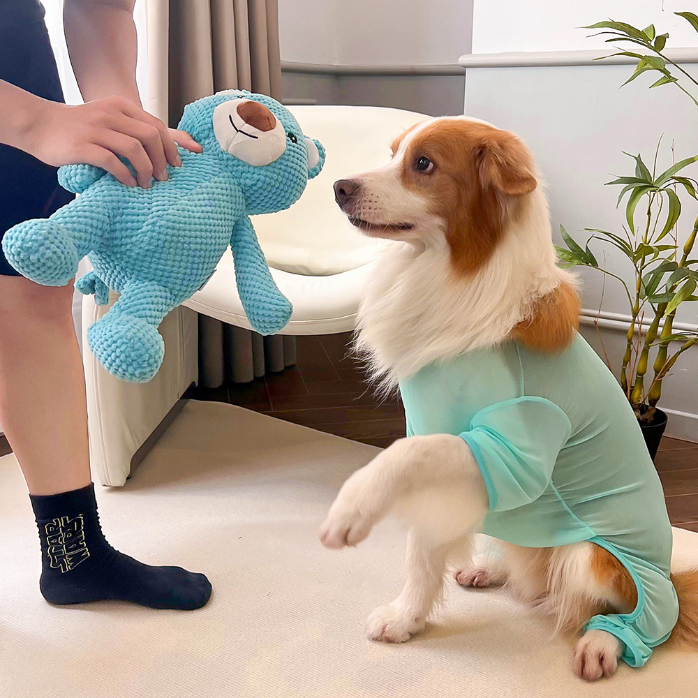 Blue Bear Squeaky Plush Toy for Dogs and Cats