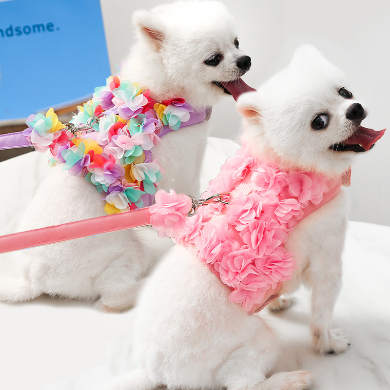 Floral Mesh Pet Vest Harness Leash Set