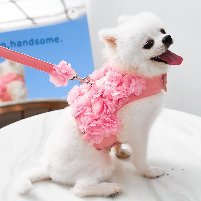 Floral Mesh Pet Vest Harness Leash Set