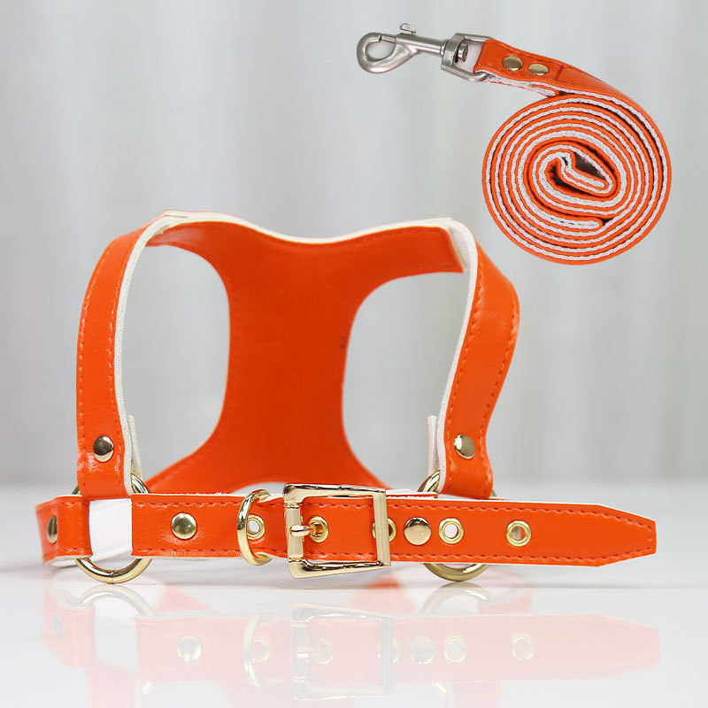 Fashion Pet Harness Leash Set Premium Leather
