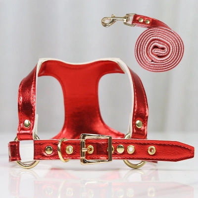 Fashion Pet Harness Leash Set Premium Leather 02