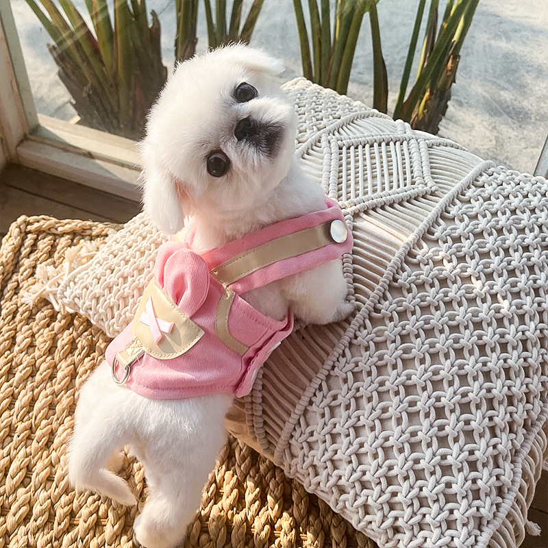 Secure Reflective Pet Harness Leash Set for Pets
