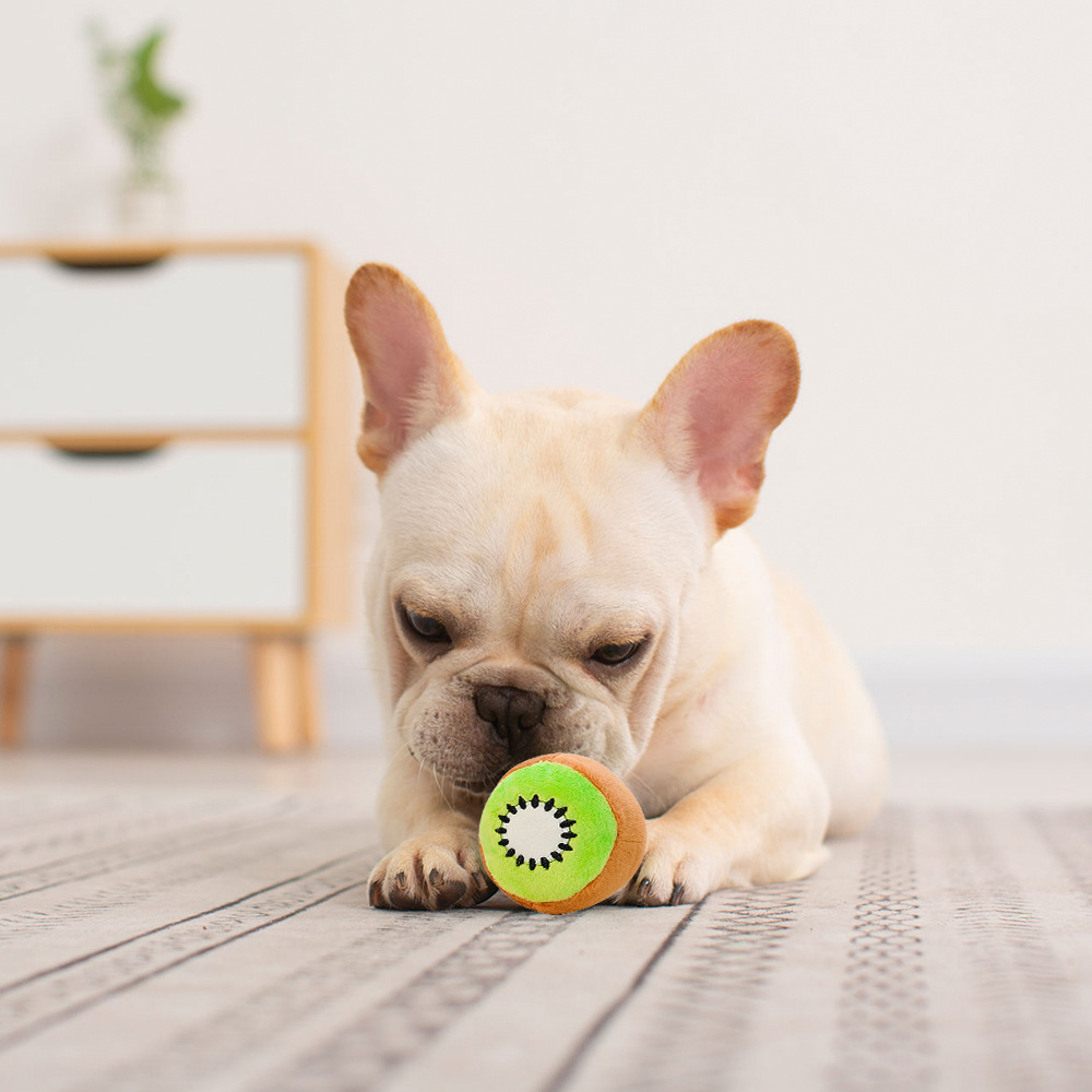 Avocado Kiwi Plush Squeaky Chew Toy Pets