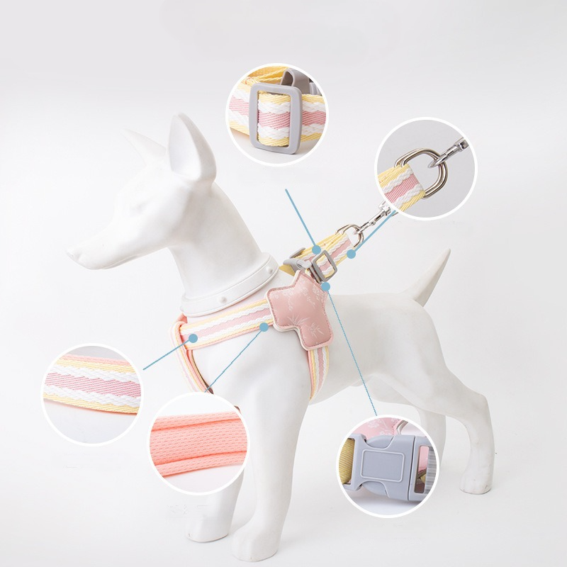 Dopamine Color Pet Harness Leash Set Walking