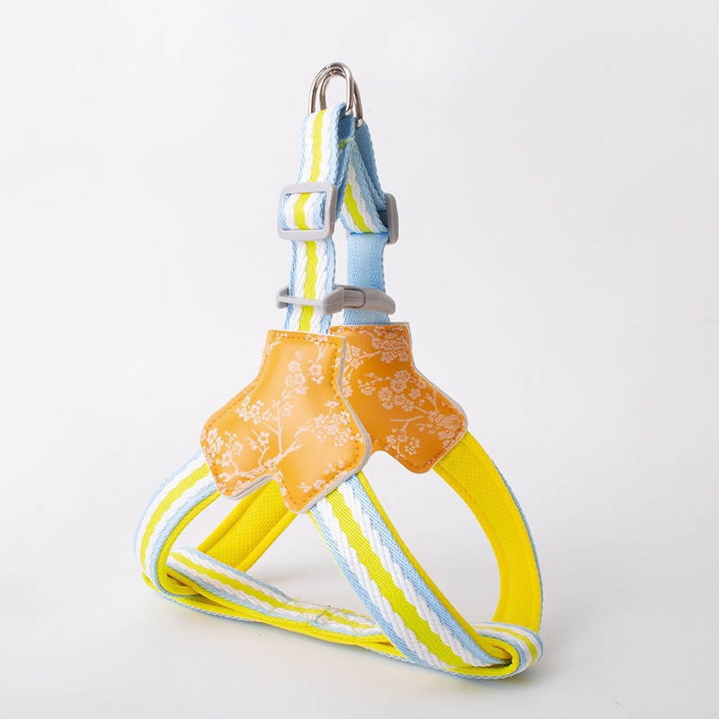 Dopamine Color Pet Harness Leash Set Walking