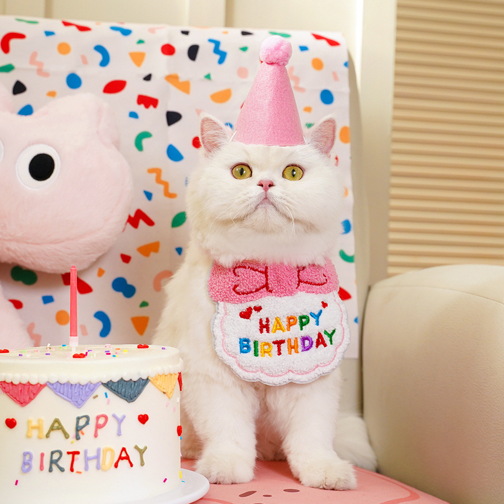 Colorful Birthday Bandana Hat Set for Pets Party