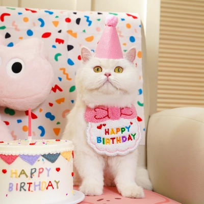 Colorful Birthday Bandana Hat Set for Pets Party 02