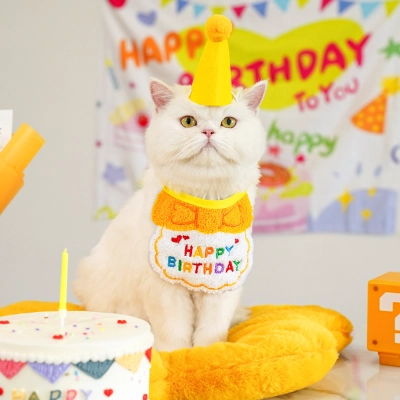 Colorful Birthday Bandana Hat Set for Pets Party 01