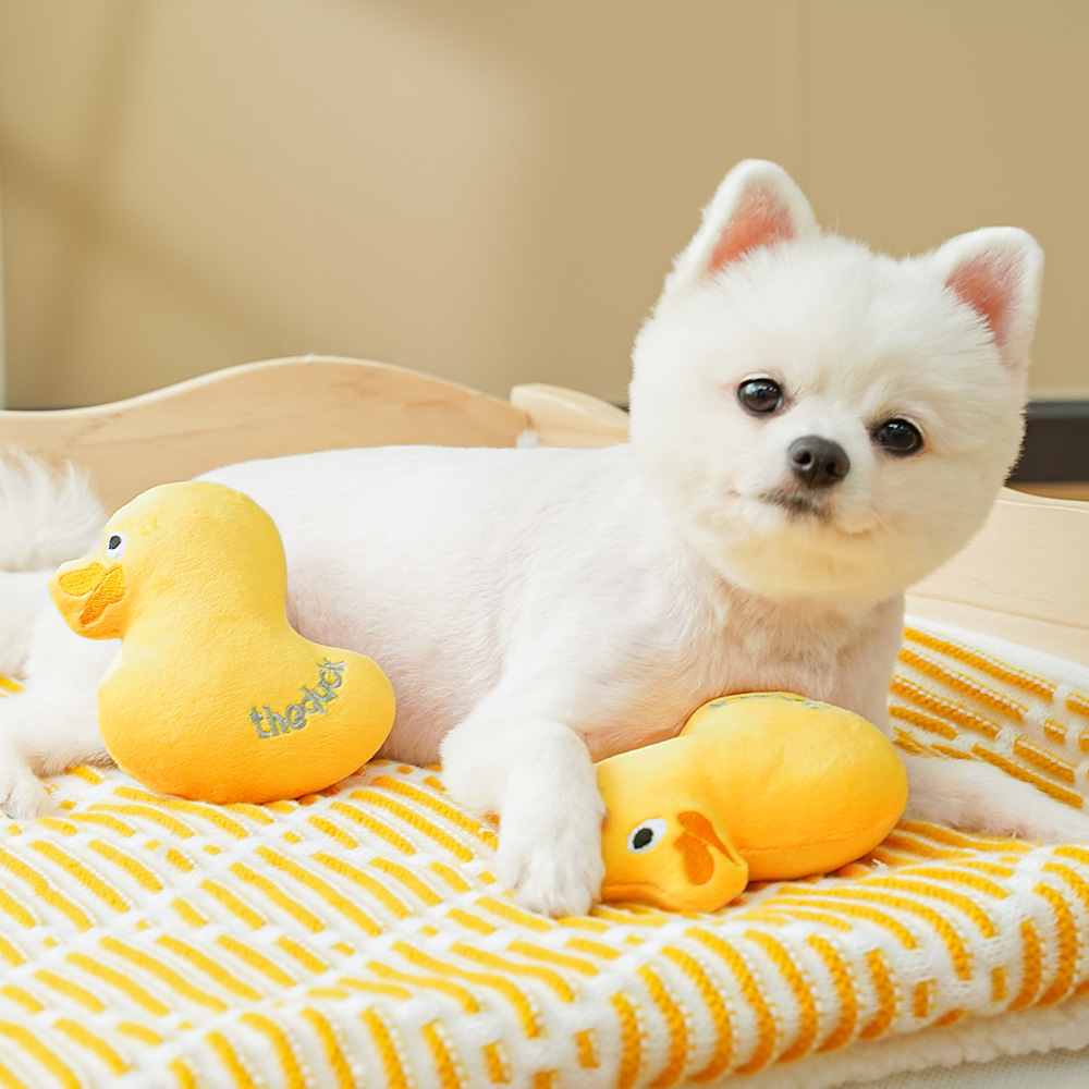 Cute Duck Squeaky Plush Chew Toys for Pets