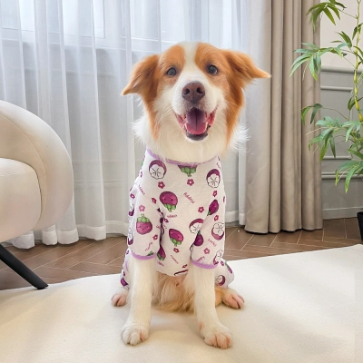 Fruit Pattern Pet Pajamas Four Legs Outfit 02