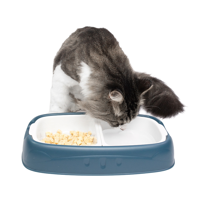 Pet Double Bowl Non Slip Splash Proof Feeder