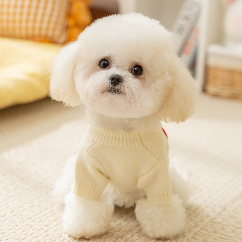 Knit Pet Sweater Colorful Letters Semi High Neck