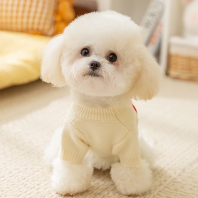 Knit Pet Sweater Colorful Letters Semi High Neck 02