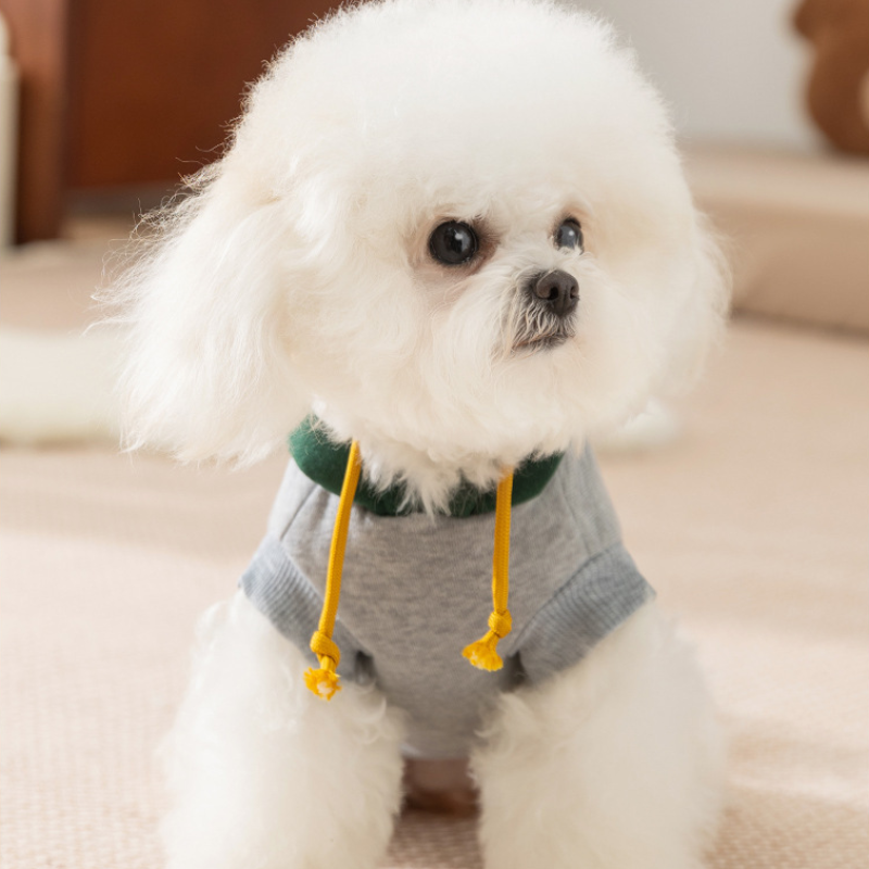 Pet Hoodie Smile Print Korean Style Two Leg Design