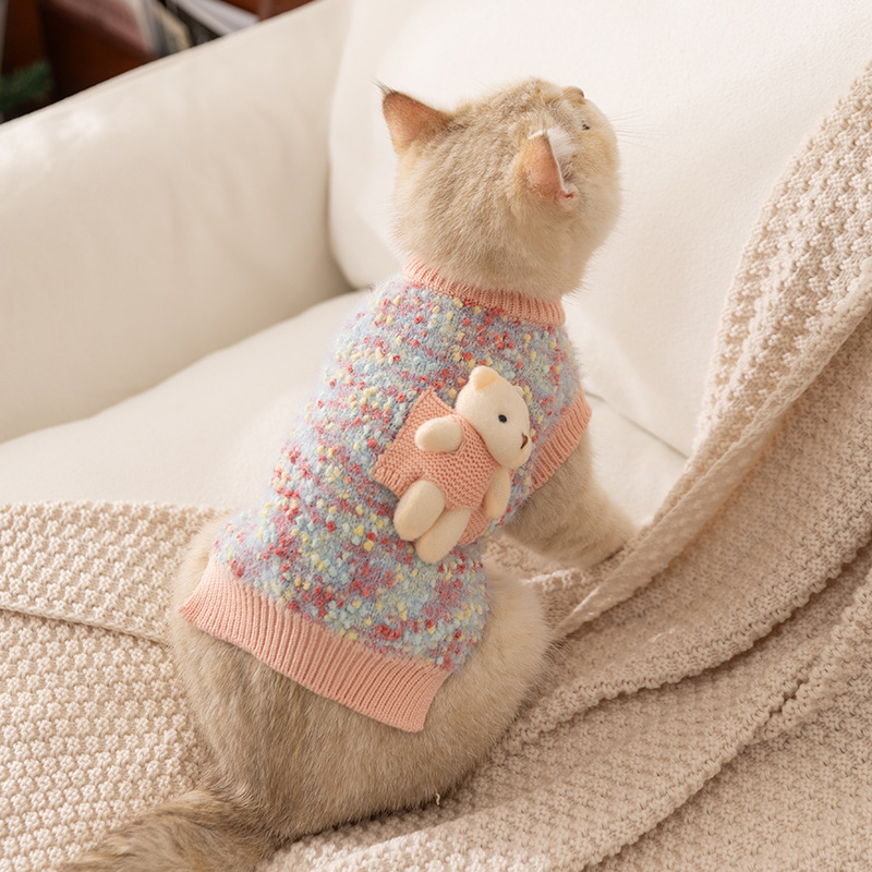 Knit Pet Sweater 3D Bear Detachable Plush Companion