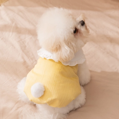 Pet Bunny Hoodie Fluffy Tail Pompom Winter Warmth 02