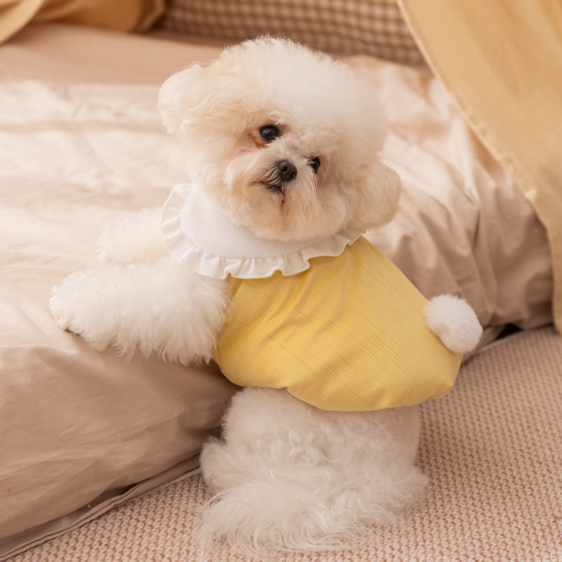 Pet Bunny Hoodie Fluffy Tail Pompom Winter Warmth