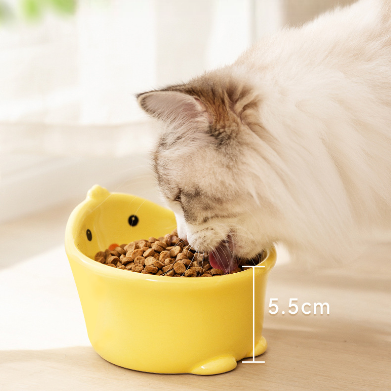 Ceramic Pet Bowl Duck Shape Anti Spill Design