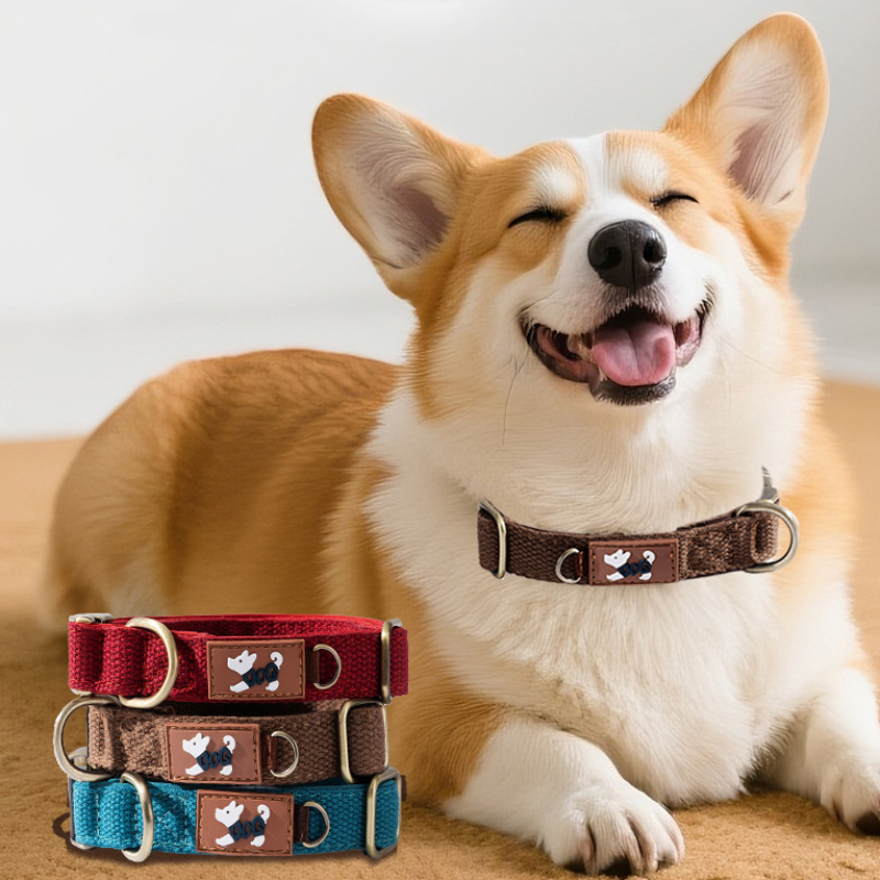Double Layer Dog Collar Soft Padding Neck Protection