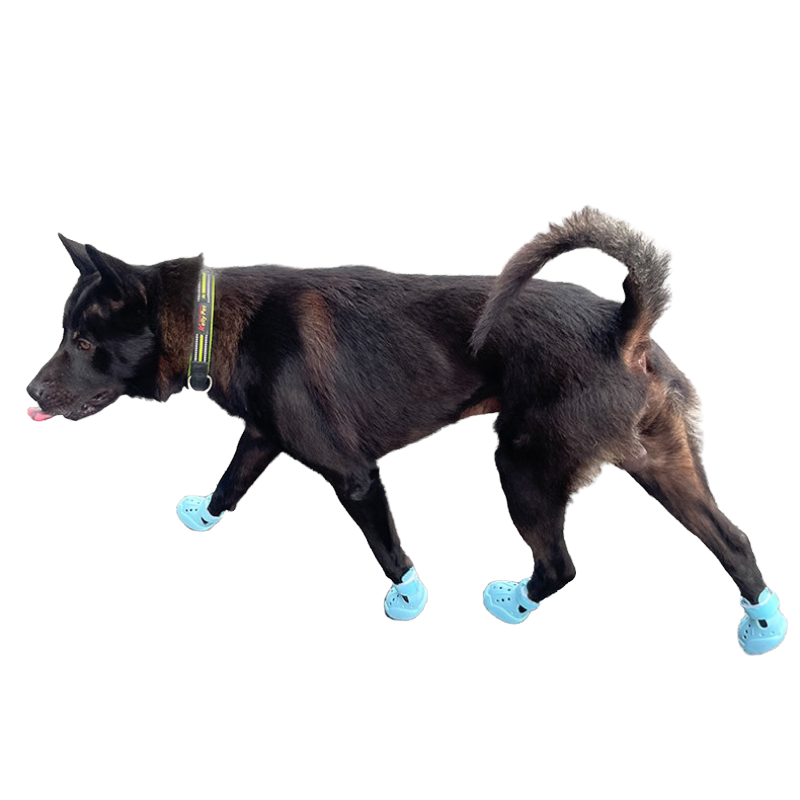 Pet Breathable Mesh Shoes Outdoor Soft Sole Design