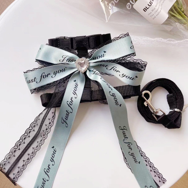 Pet Harness Leash Set Text Print Bow