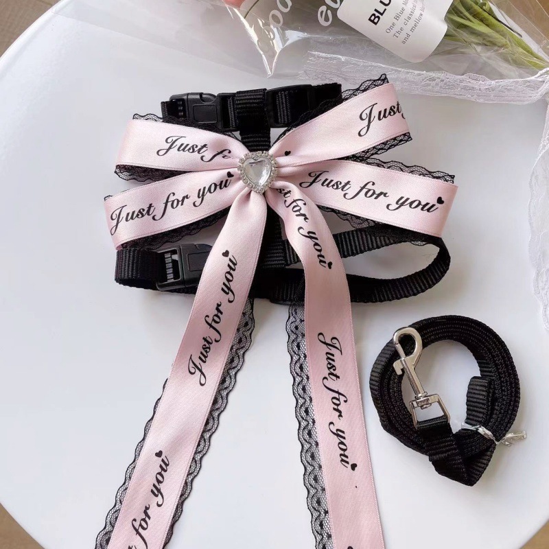 Pet Harness Leash Set Text Print Bow