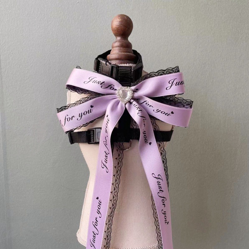 Pet Harness Leash Set Text Print Bow