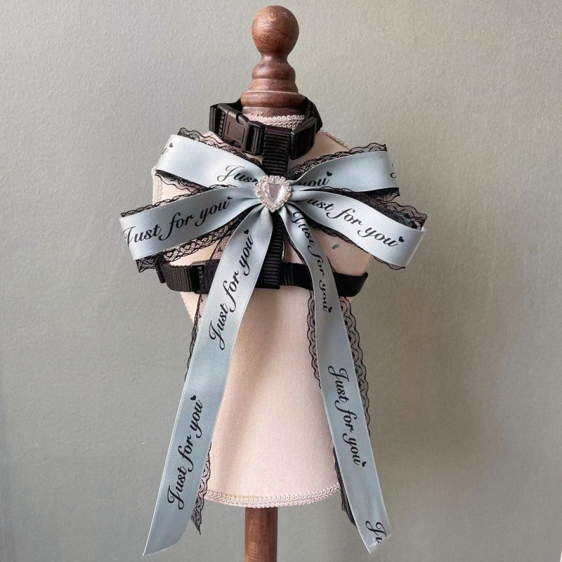 Pet Harness Leash Set Text Print Bow