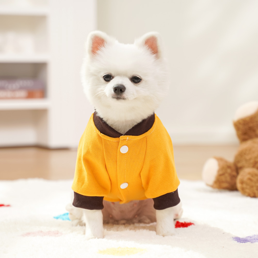 Pet Hoodie Set Bear Print Sporty Design