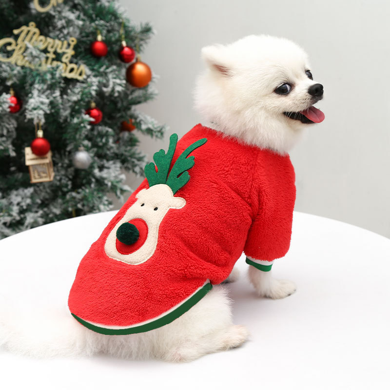 Pet Reindeer Sweater Set Festive Holiday Design