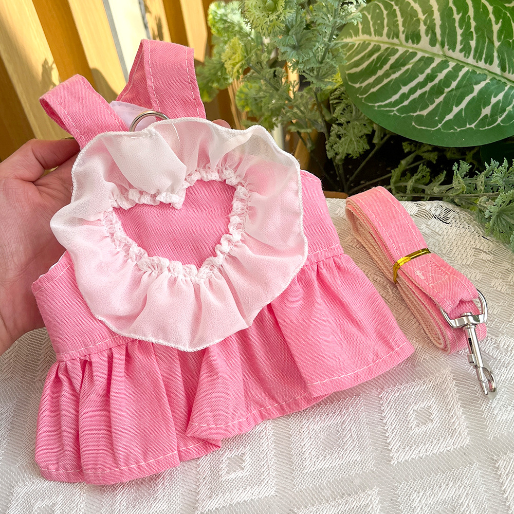 Pet Denim Dress Set Lace Trim Design