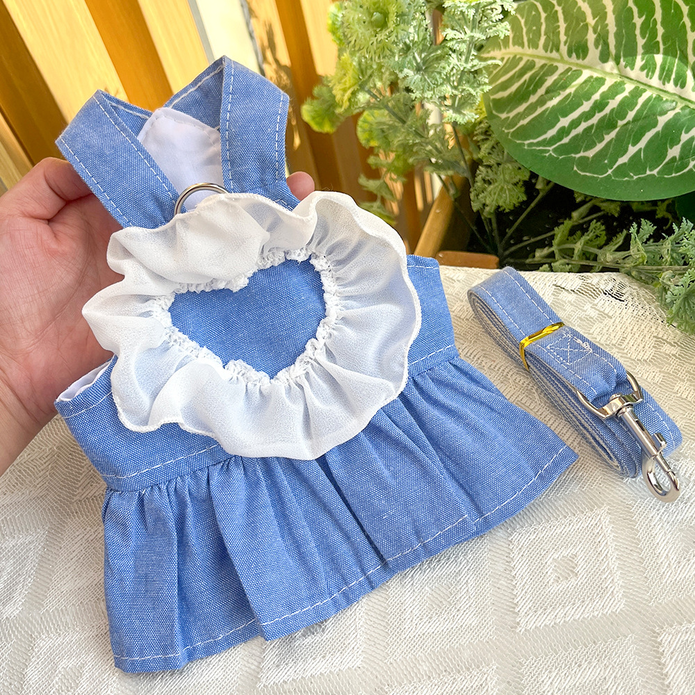 Pet Denim Dress Set Lace Trim Design