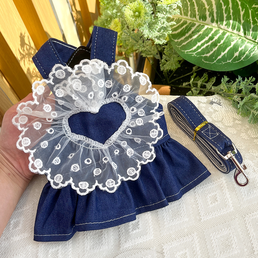 Pet Denim Dress Set Lace Trim Design