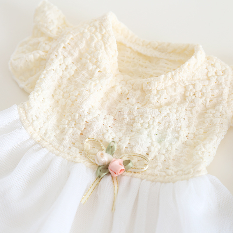 Pet Lace Dress Hollow Floral Pattern
