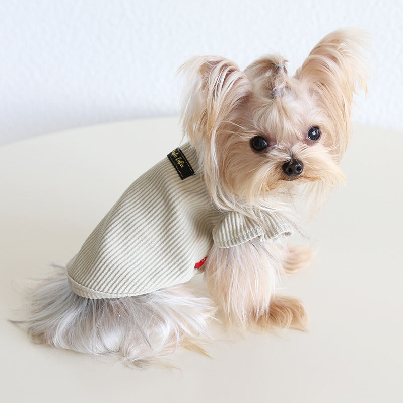 Pet Ribbed Knit Top Wing Sleeve