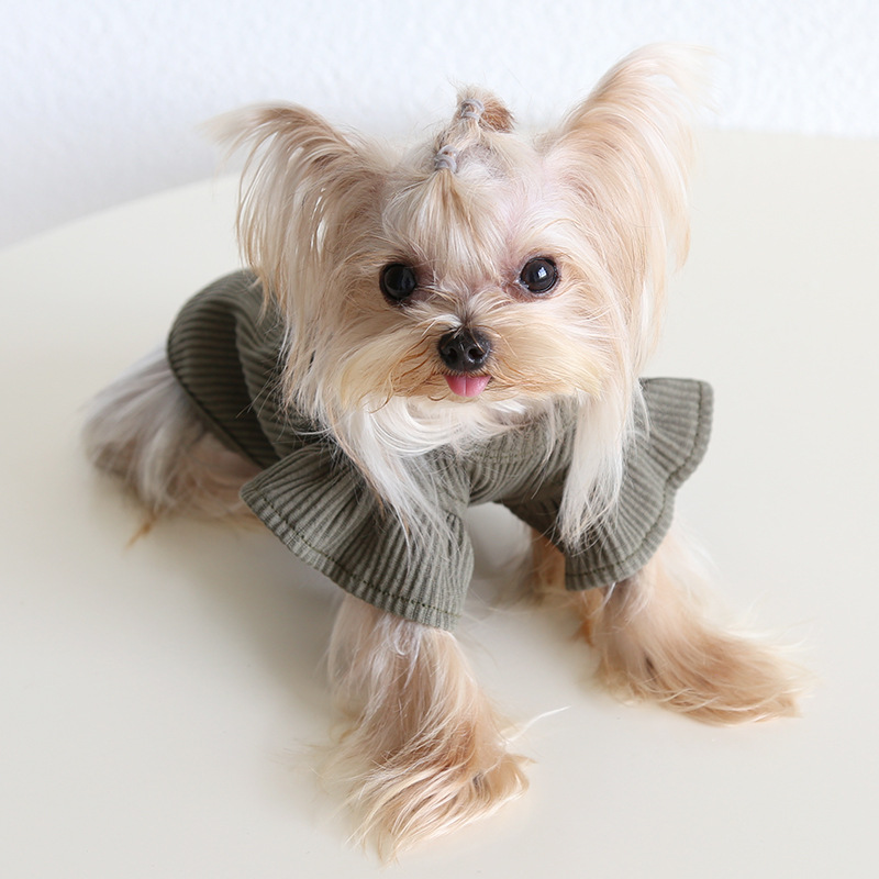 Pet Ribbed Knit Top Wing Sleeve