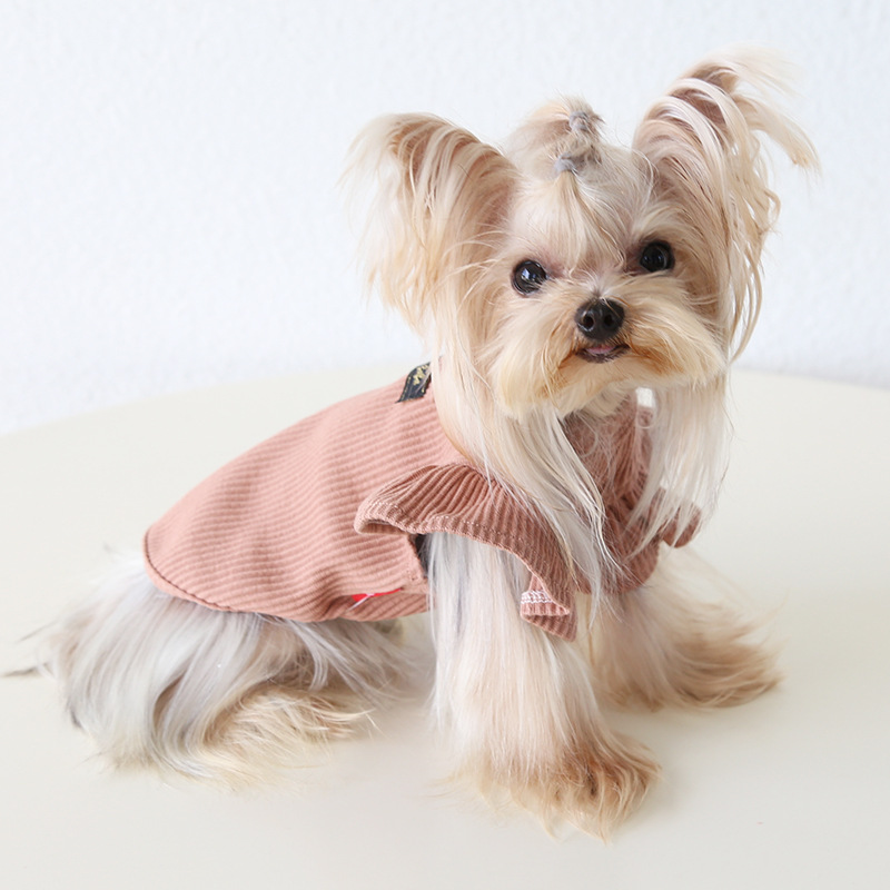 Pet Ribbed Knit Top Wing Sleeve