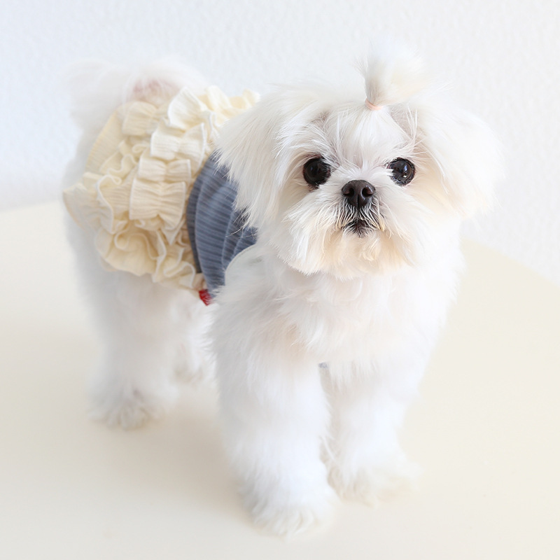 Pet Knit Dress Layered Ruffle Skirt
