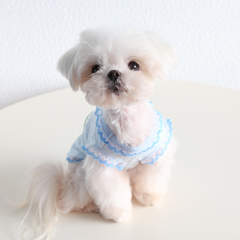 Pet Fruit Vest Lace Trim Knit Fabric