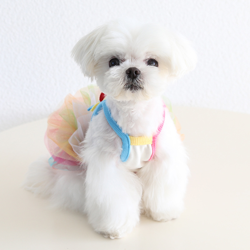 Pet Rainbow Dress Sleeveless Layered Tulle