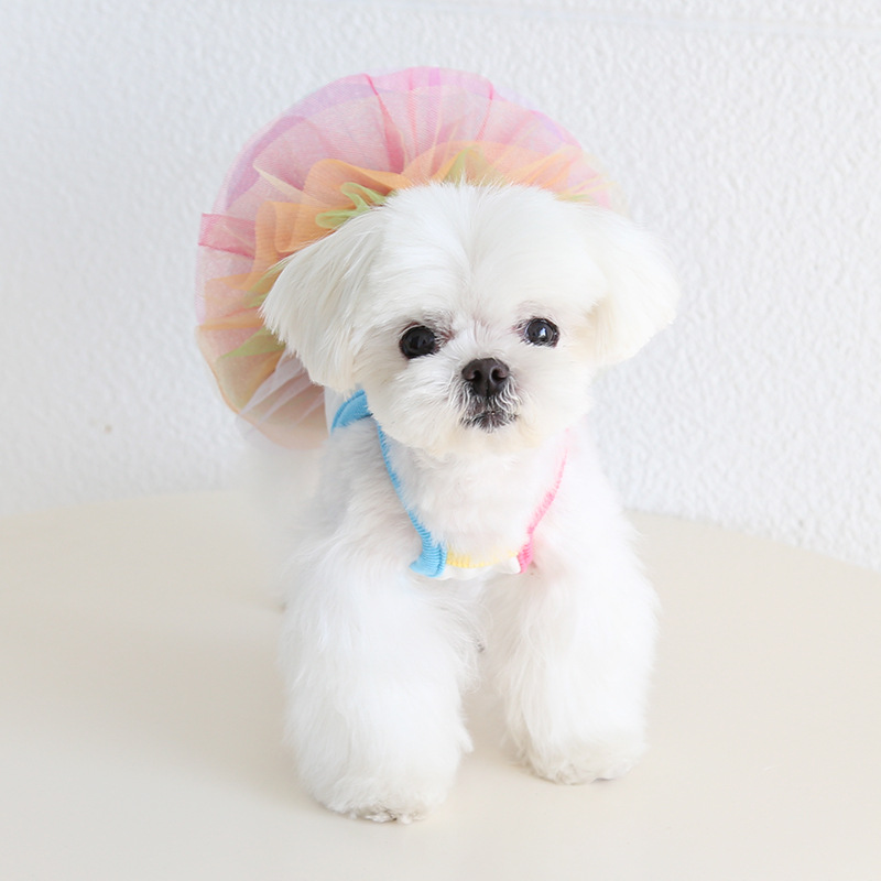 Pet Rainbow Dress Sleeveless Layered Tulle