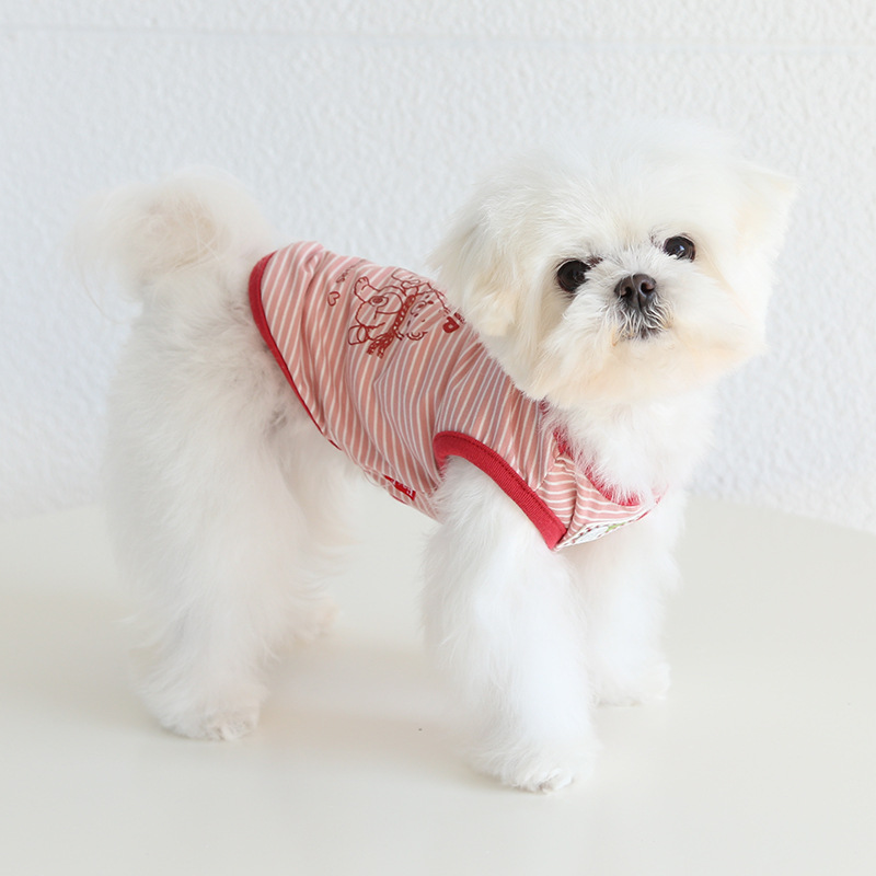 Pet Cotton Vest Three Bears Graphic Design