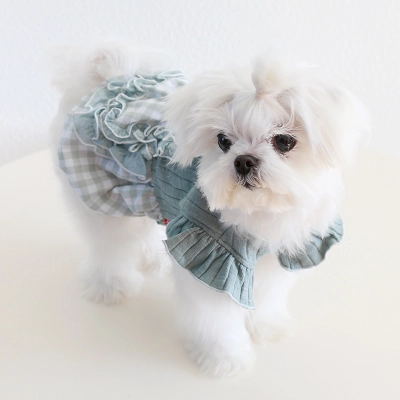 Pet Checkered Dress Lace Trim Knit Top 02