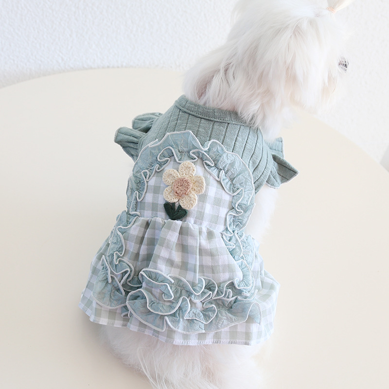 Pet Checkered Dress Lace Trim Knit Top