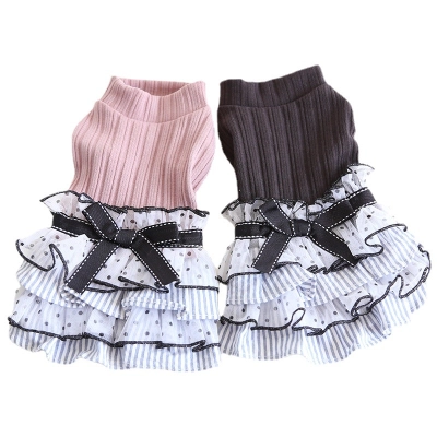 Pet Lace Cake Dress Tiered Skirt 01