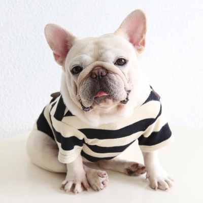 Pet Hoodie Stripe Pattern Bear Backpack Design 02