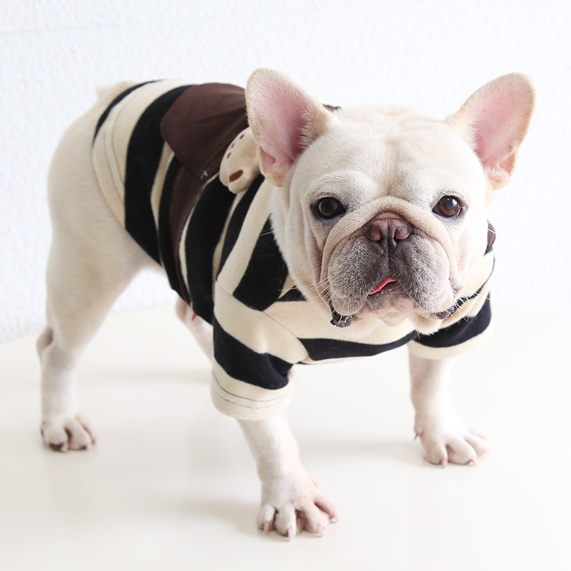 Pet Hoodie Stripe Pattern Bear Backpack Design